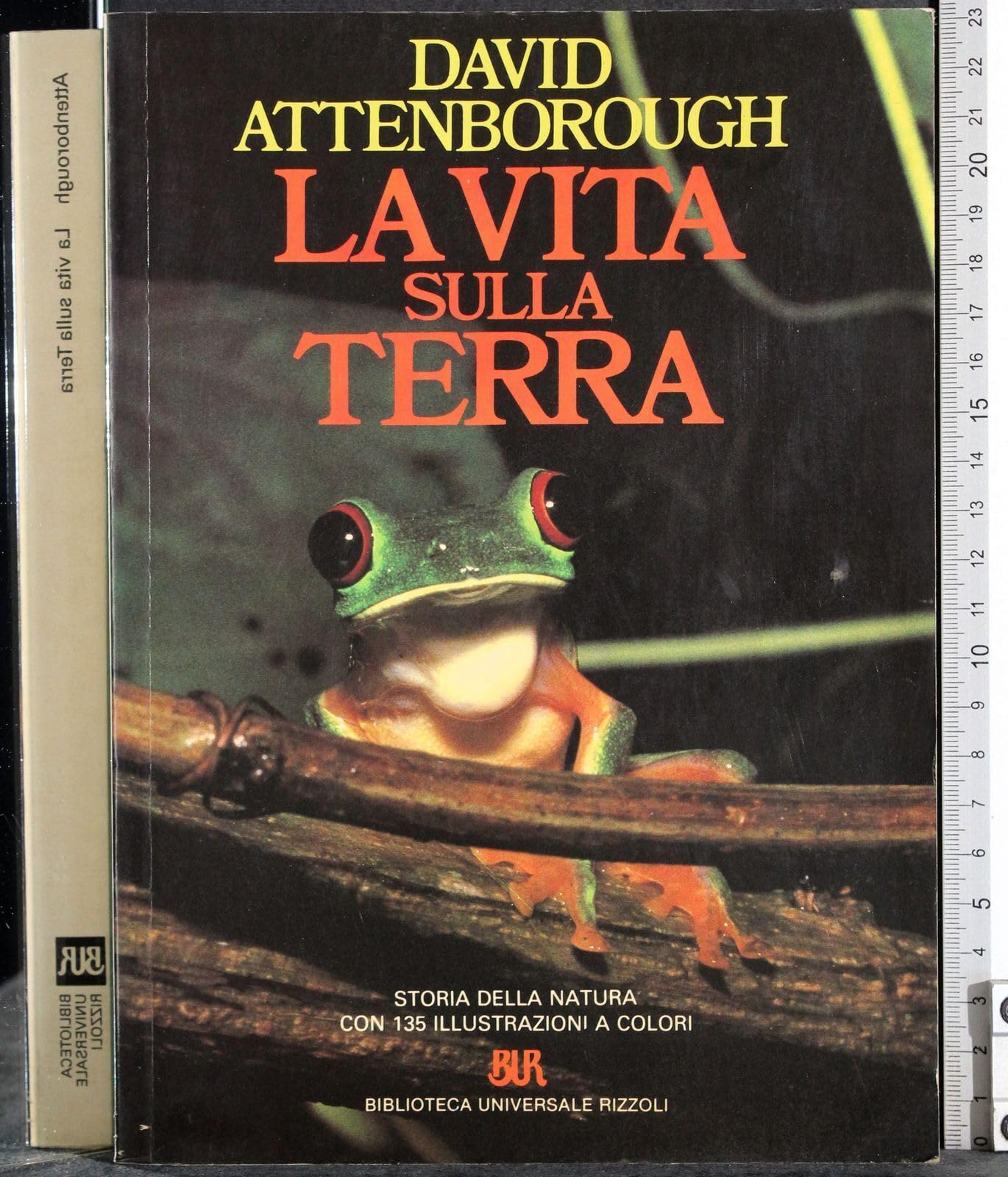La vita sulla Terra (BUR Illustrati) Natural Sciences