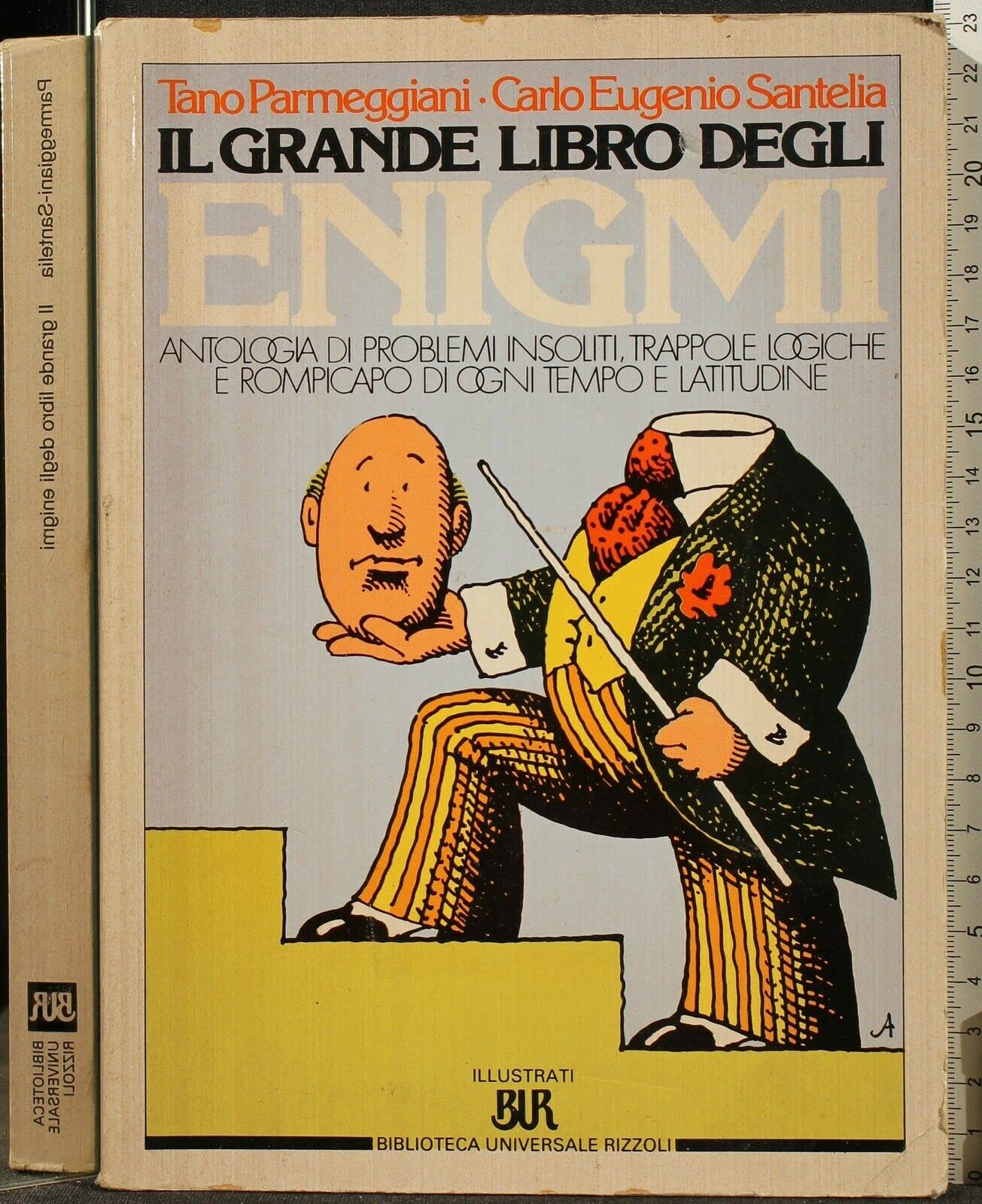 Il grande libro degli enigmi book