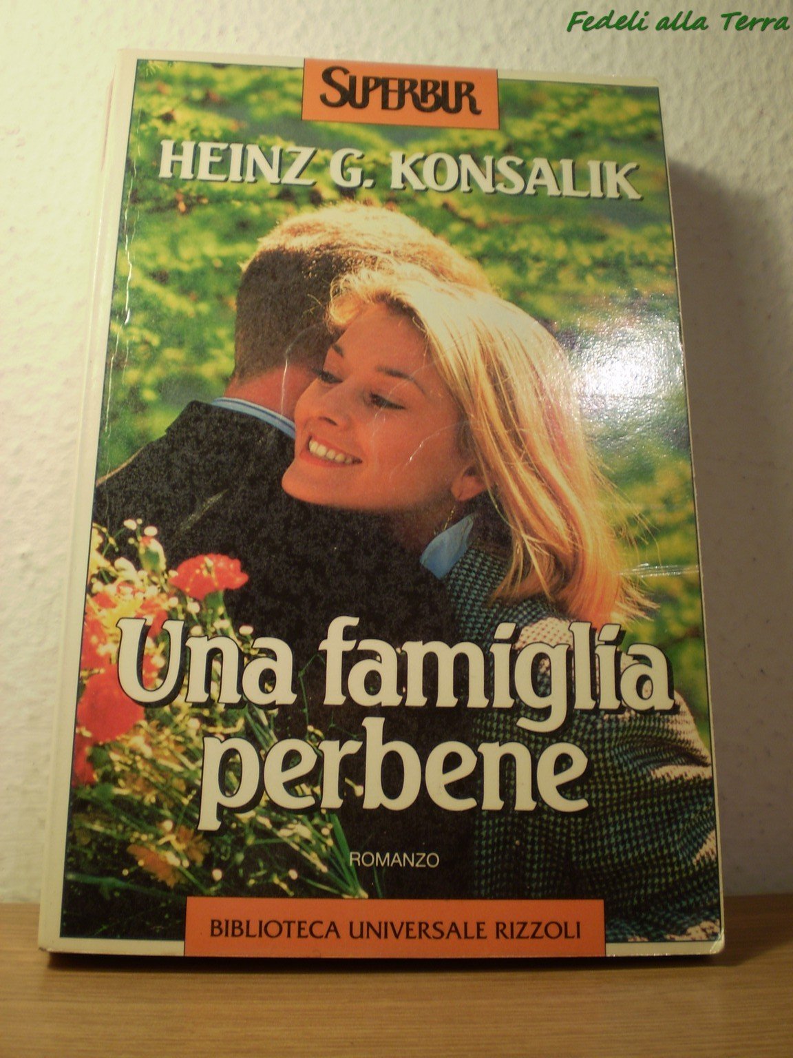 Una famiglia per bene book