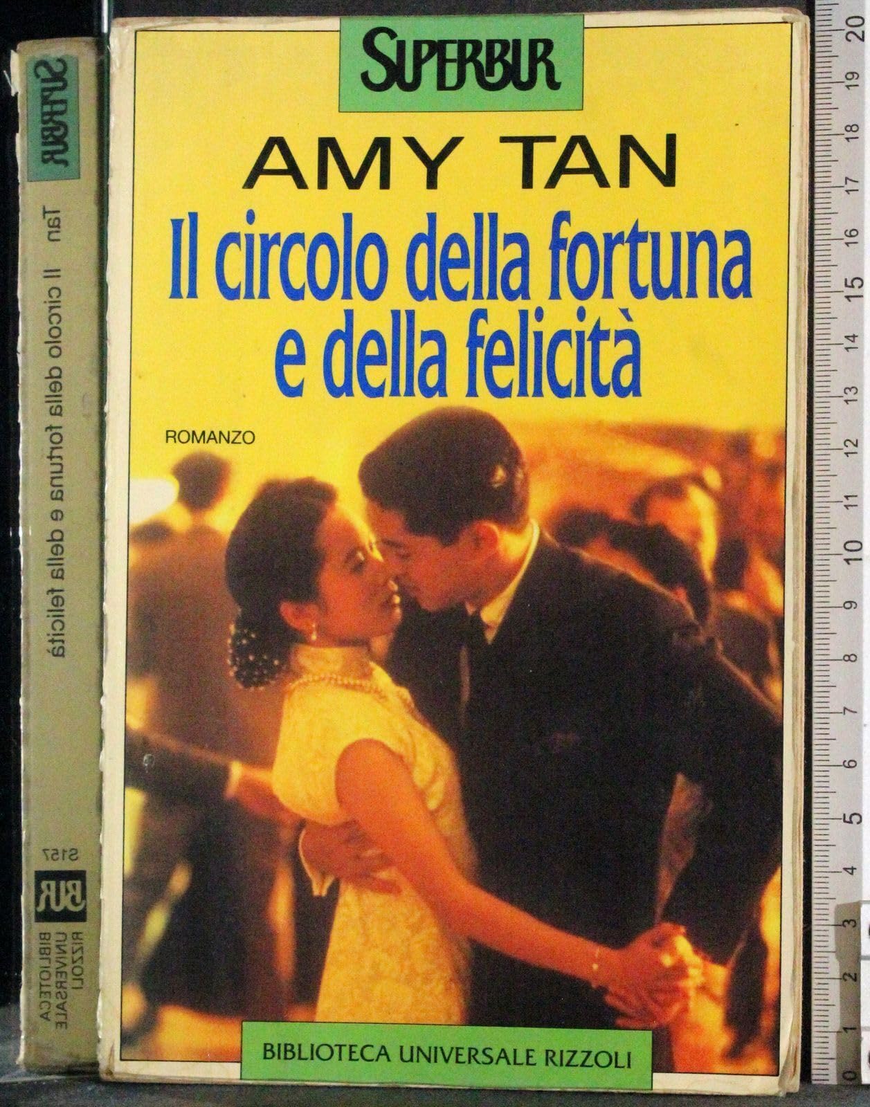 Il circolo della fortuna e della felicità book
