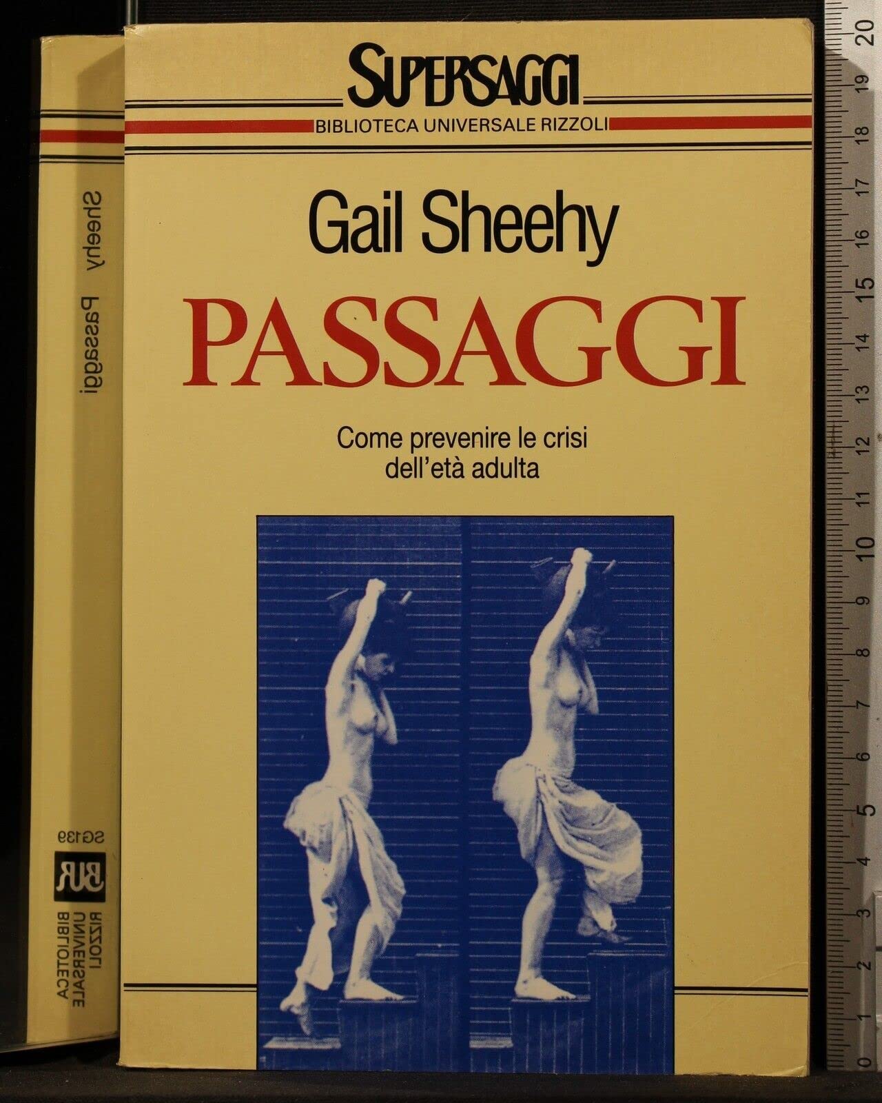 Passaggi (BUR Supersaggi, Band 139) Contemporary literature