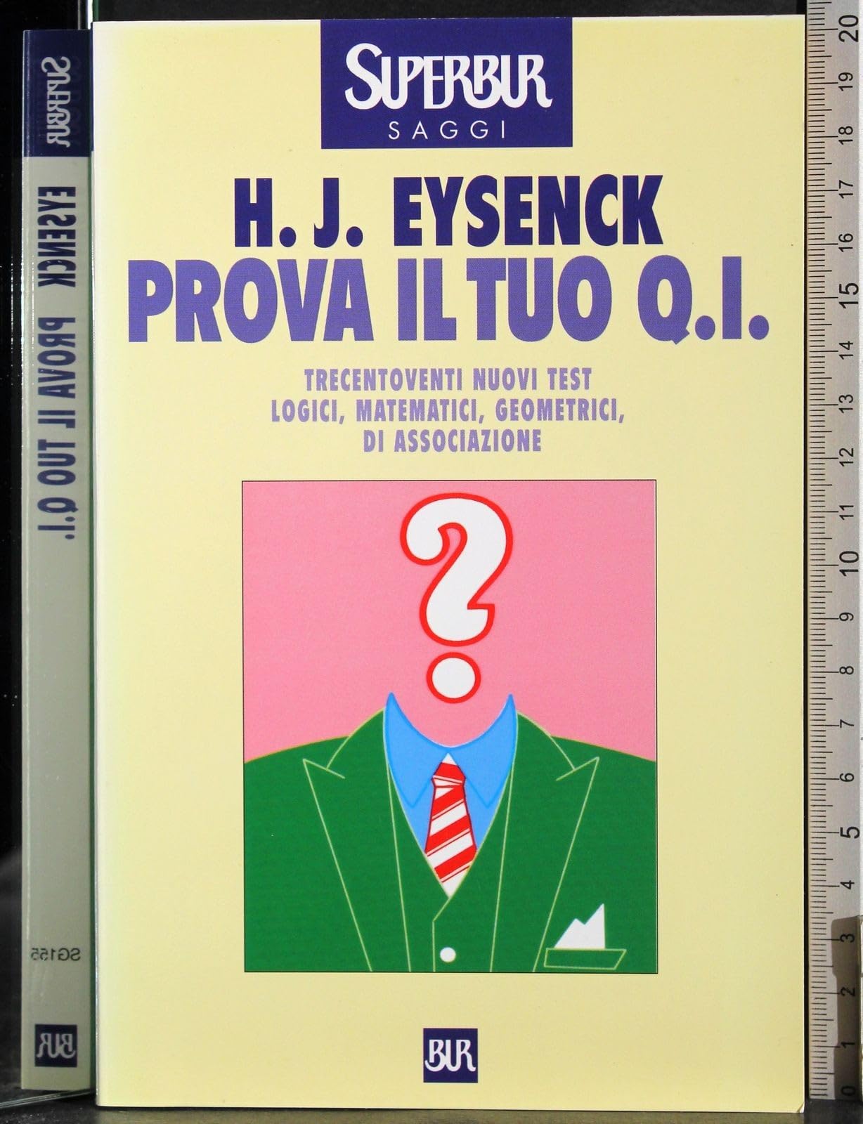 Prova il tuo QI (BUR Supersaggi, Band 155) Psychology