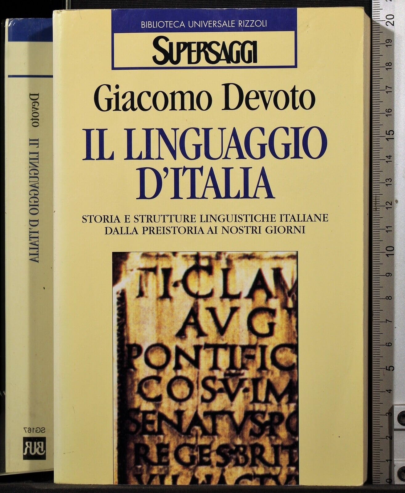 Il linguaggio d'Italia (BUR Supersaggi, Band 167) Social Sciences