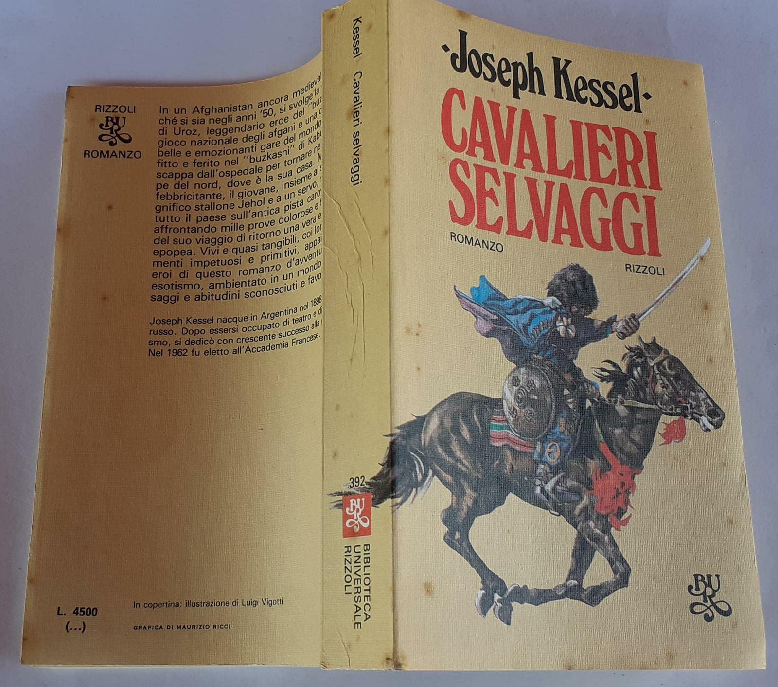 Cavalieri selvaggi book