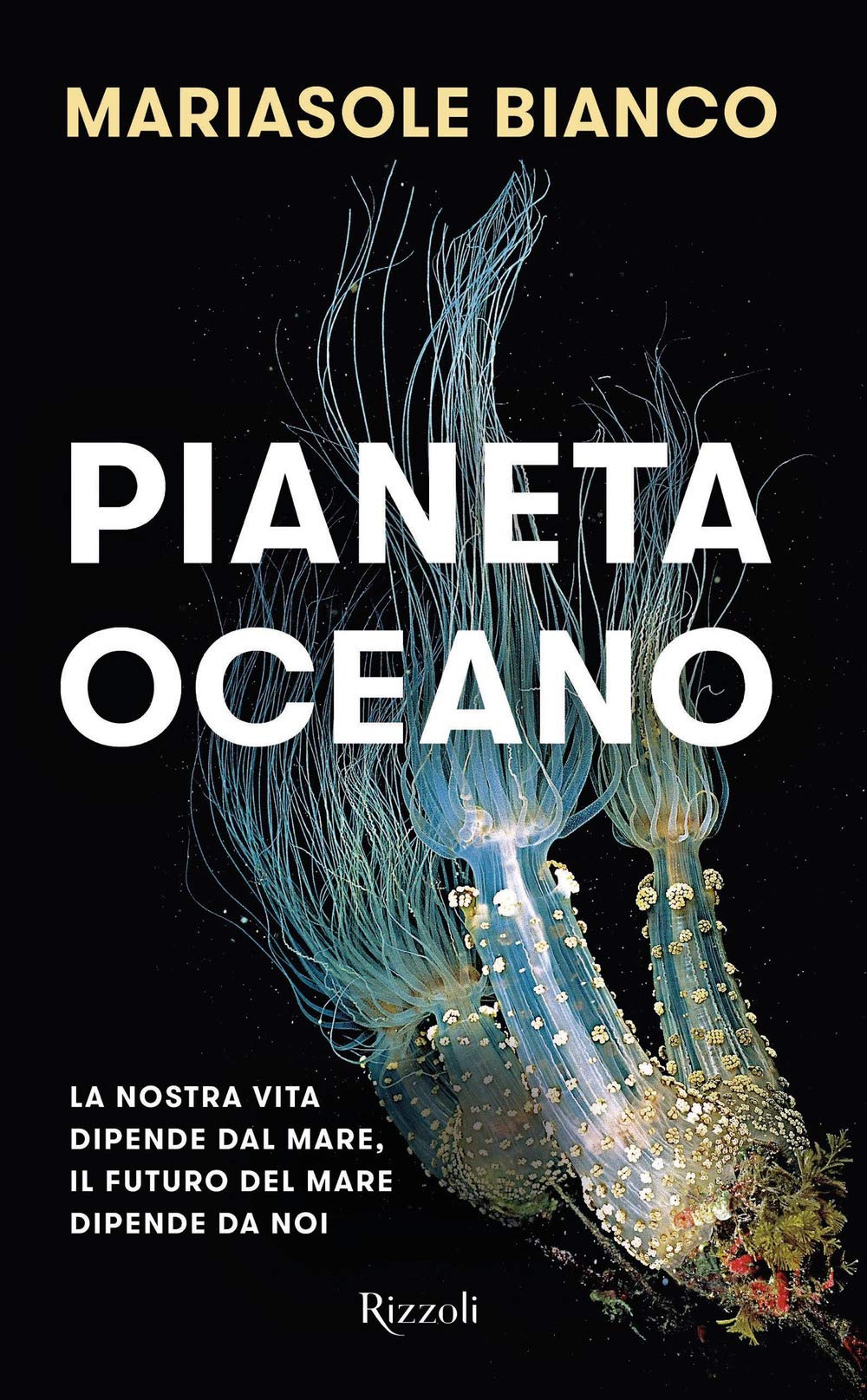 Pianeta oceano. La nostra vita dipende dal mare, il futuro del mare dipende da noi (Saggi italiani) Natural Sciences