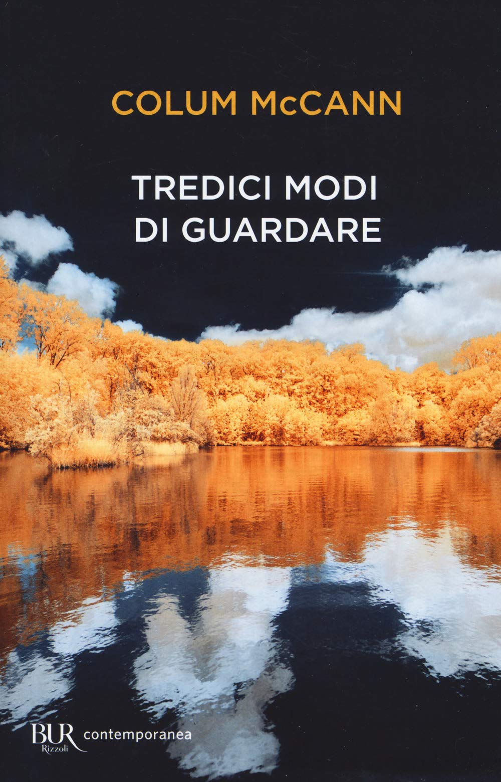 Tredici modi di guardare book