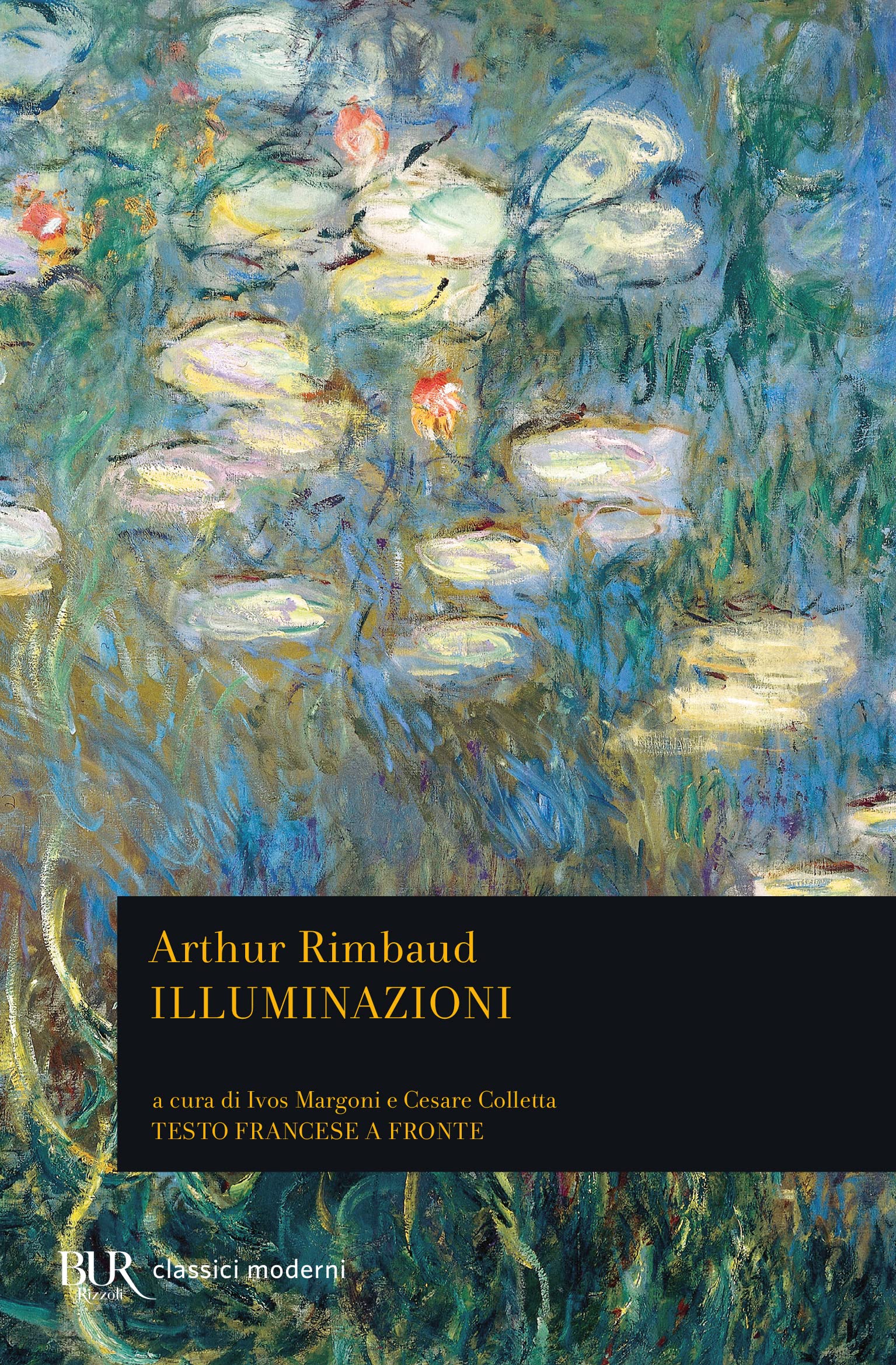 Illuminazioni. Testo francese a fronte (BUR Classici, Band 323) Poetry