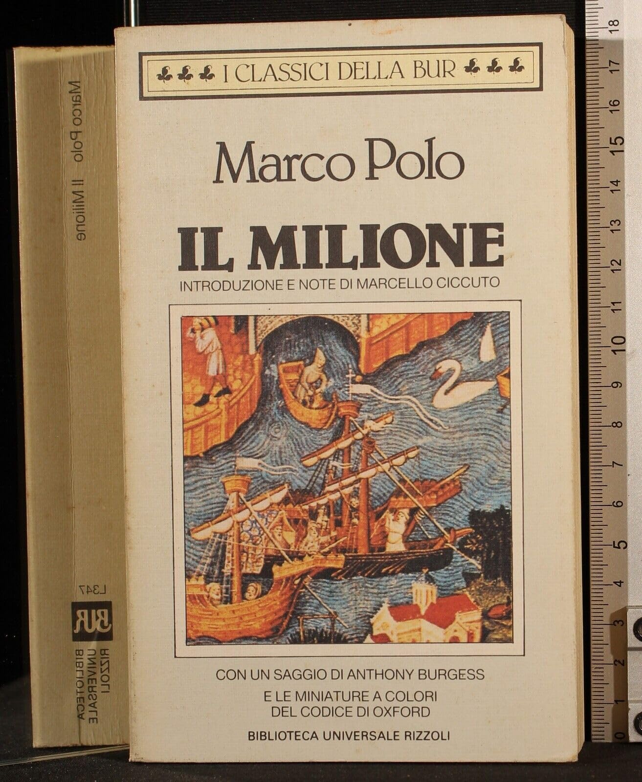 Il milione (BUR Classici, Band 347) Leisure, Home & Garden