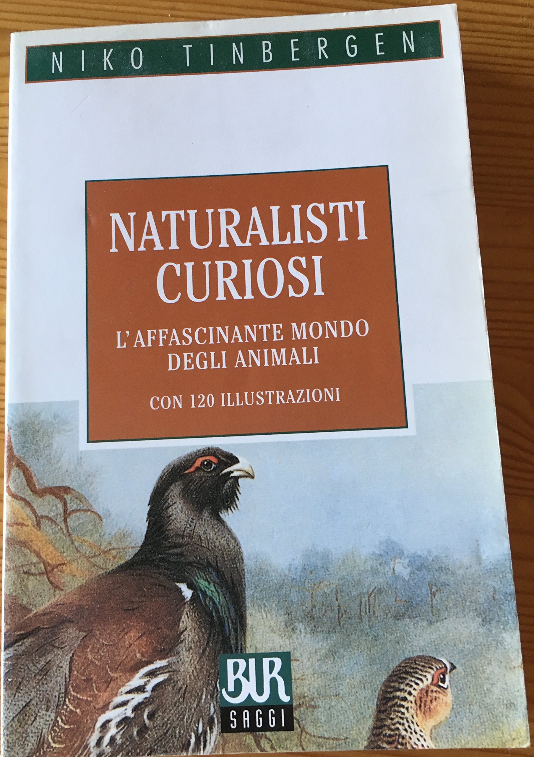 Naturalisti curiosi (BUR Saggi e documenti, Band 478) Leisure, Home & Garden