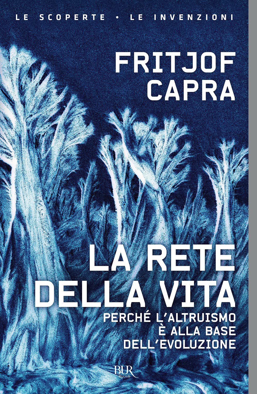 La rete della vita. Perché l'altruismo è alla base dell'evoluzione Natural Sciences
