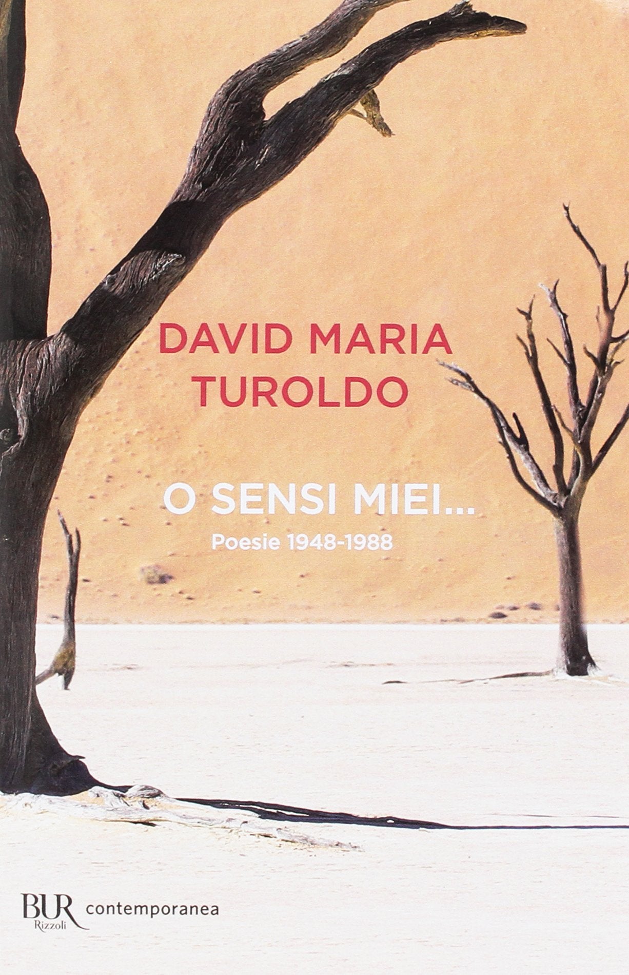O sensi miei... Poesie 1948-1988 book