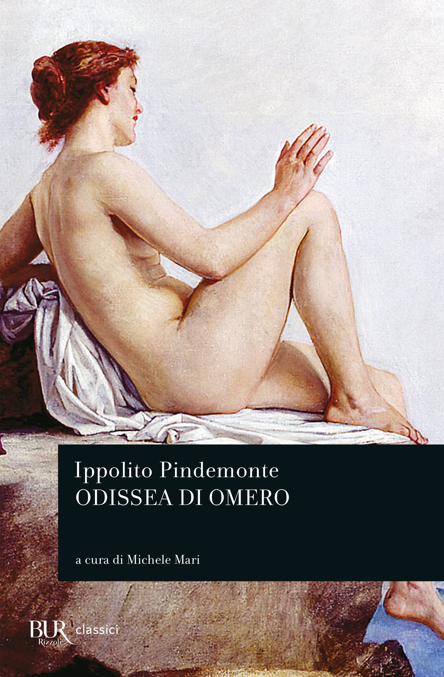 L'Odissea di Omero book