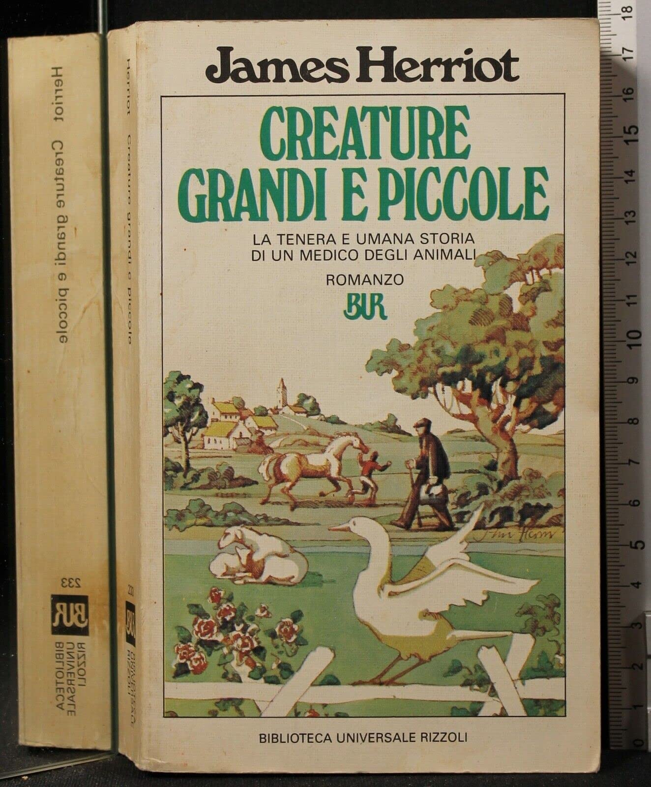 Creature grandi e piccole La tenera e umana storia di un medico degli animali. Books
