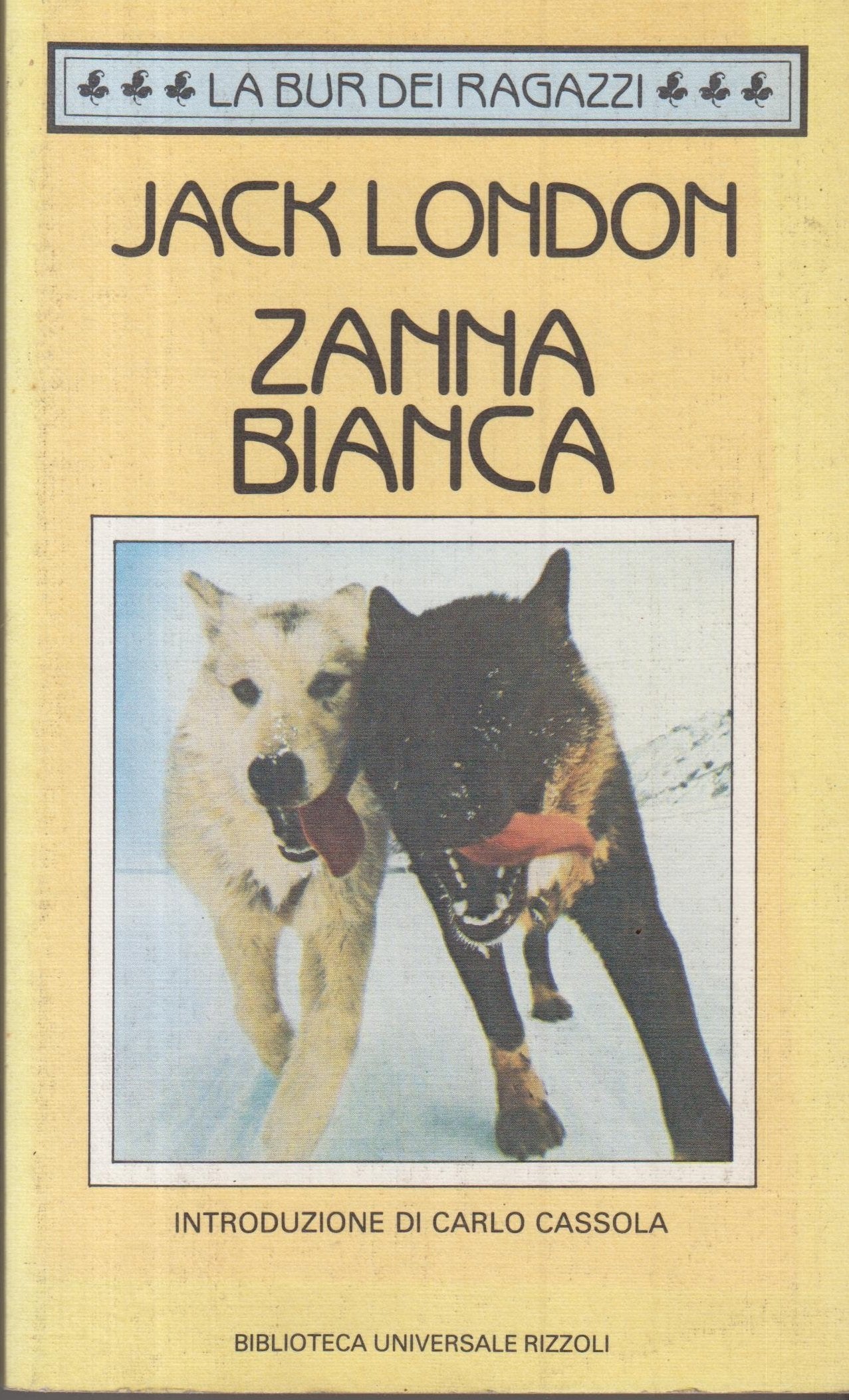 Zanna Bianca (Bur ragazzi) book