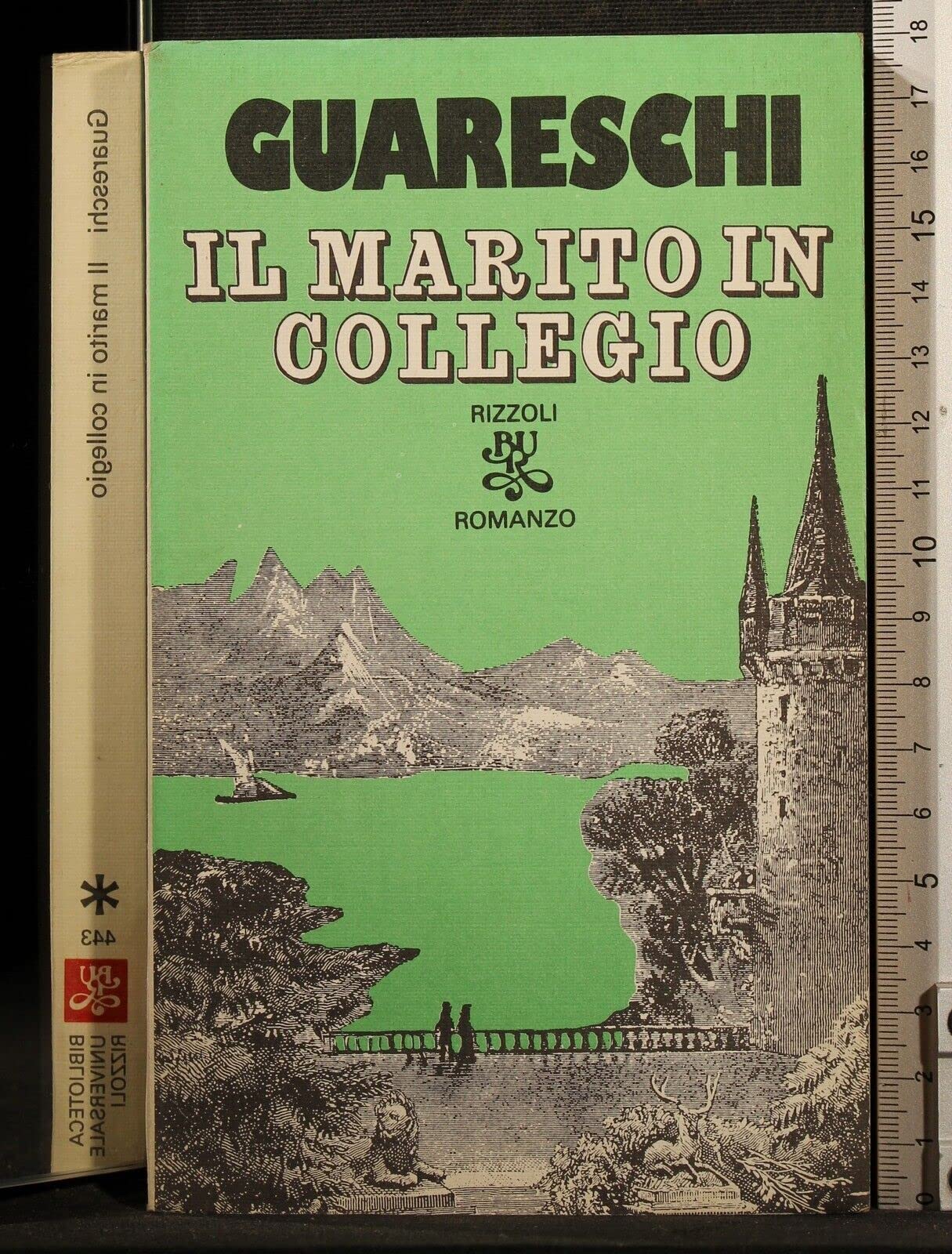 Il marito in collegio (BUR, Band 443) Contemporary literature