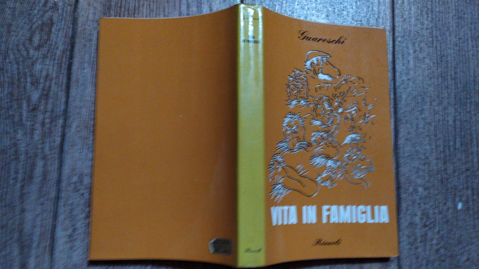 Vita in famiglia (BUR, Band 510) Classics
