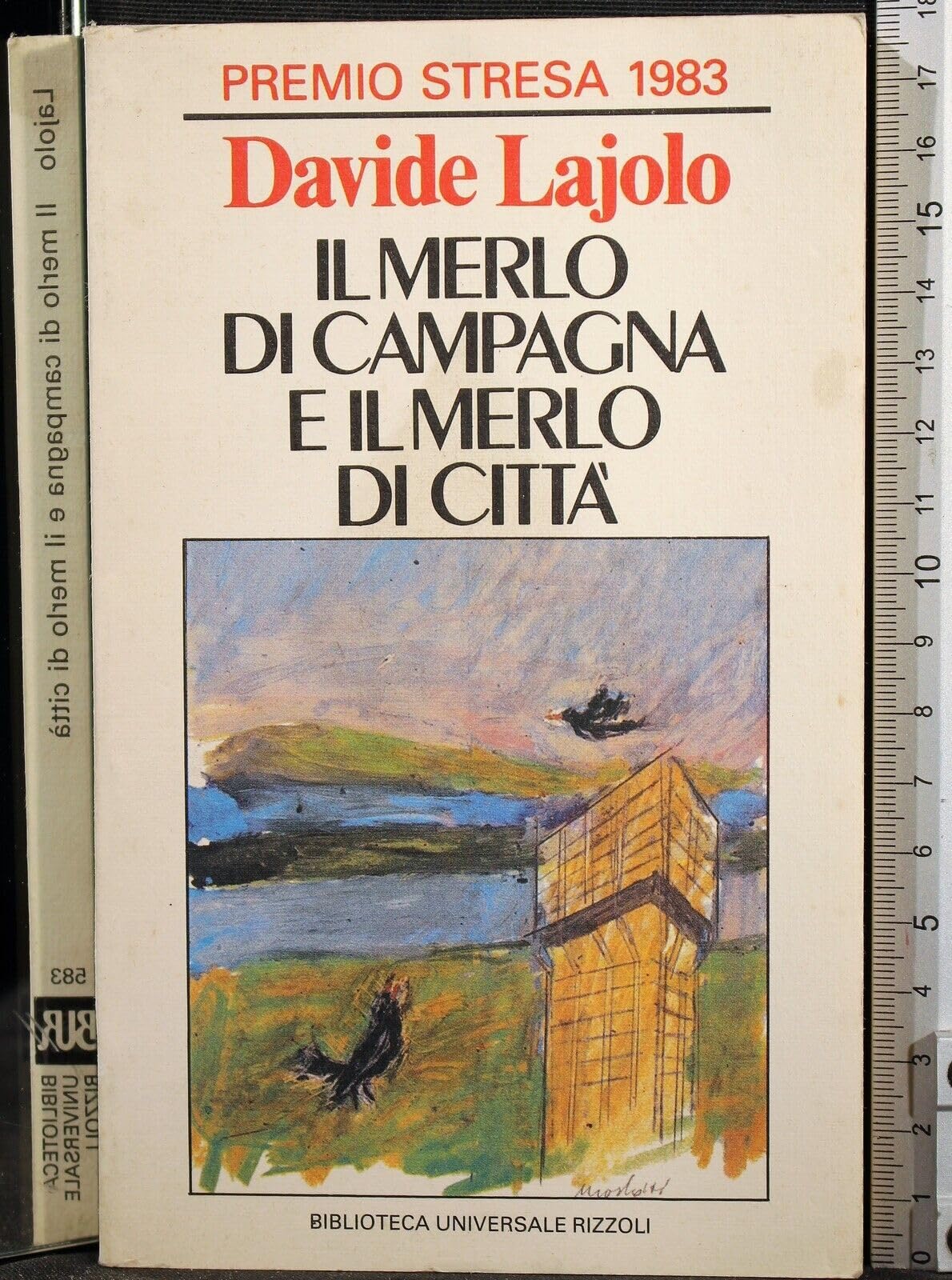Il merlo di campagna e il merlo di città book