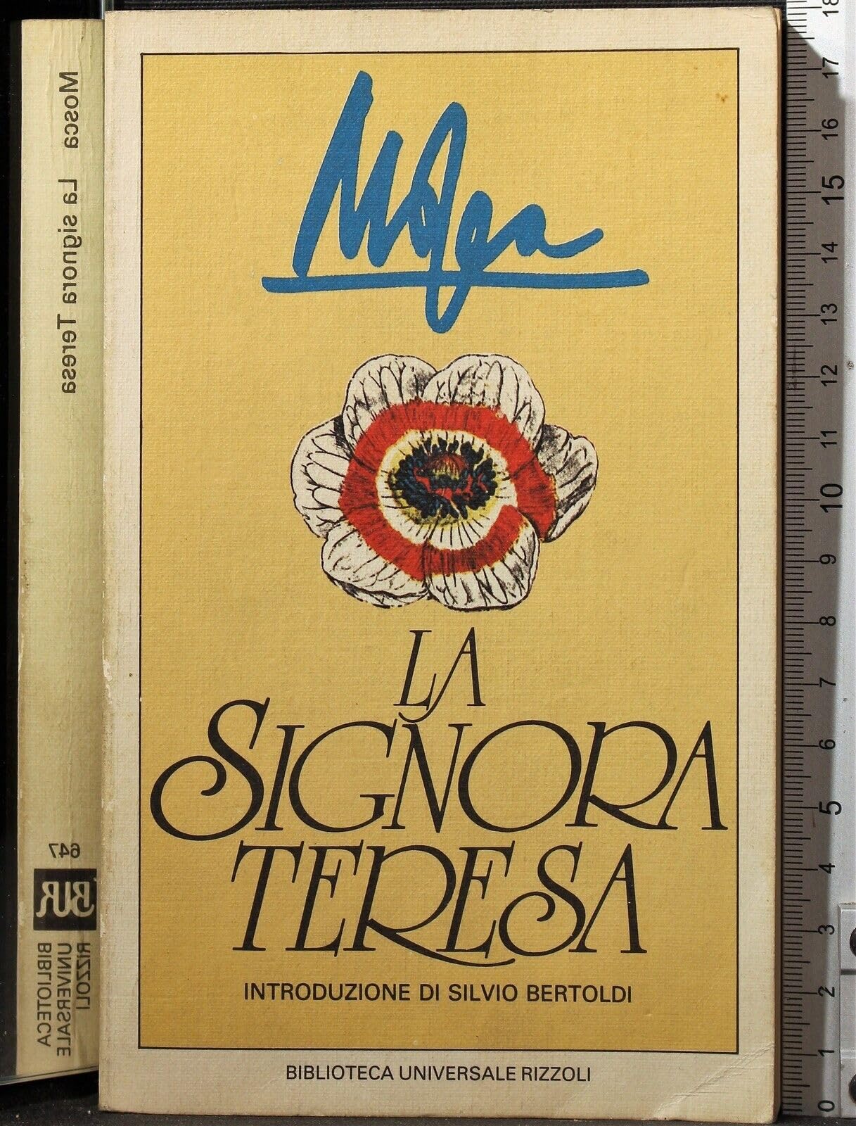 La signora Teresa (BUR, Band 647) Contemporary literature