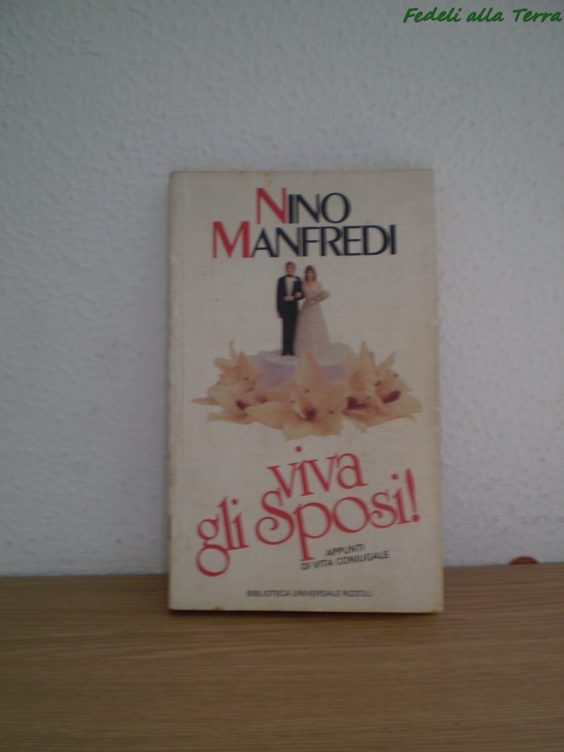 Viva gli sposi! (BUR, Band 652) Contemporary literature