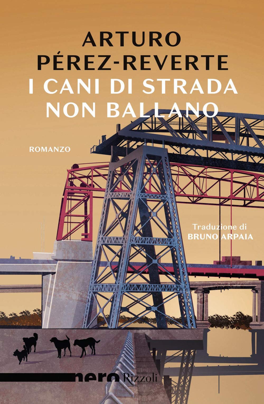 I cani di strada non ballano book