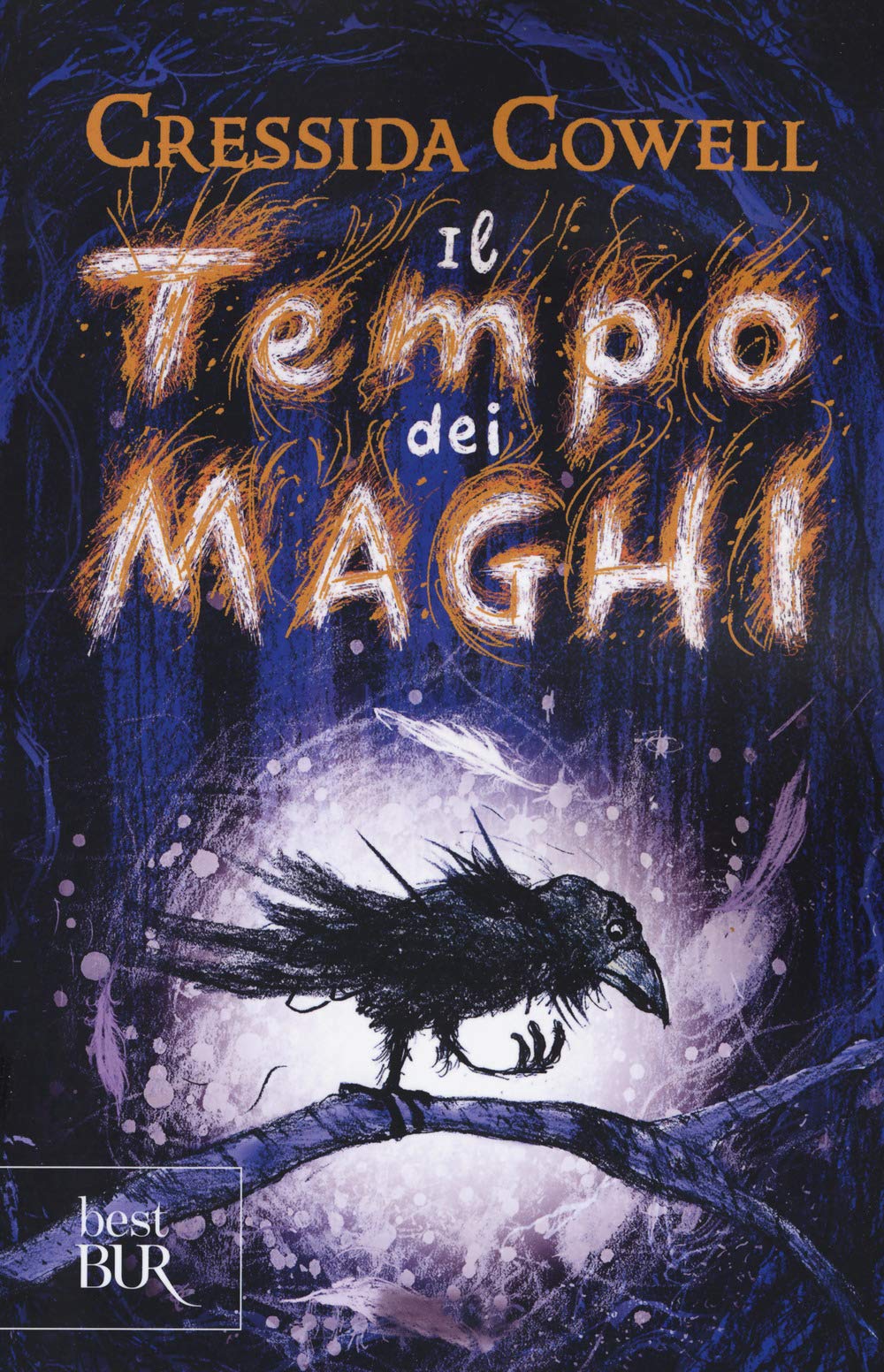 Il tempo dei maghi book