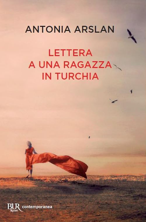 Lettera a una ragazza in Turchia book