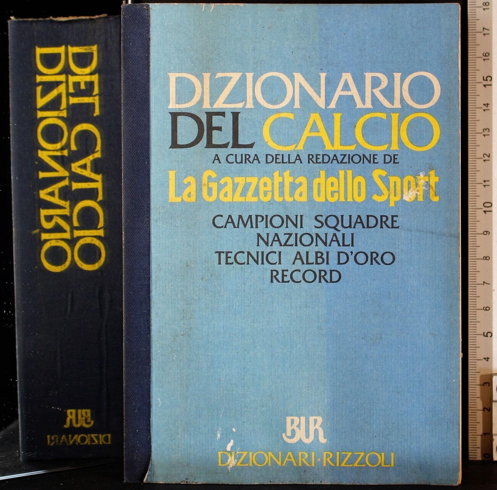 Dizionario Del Calcio (BUR Dizionari, Band 521) General education