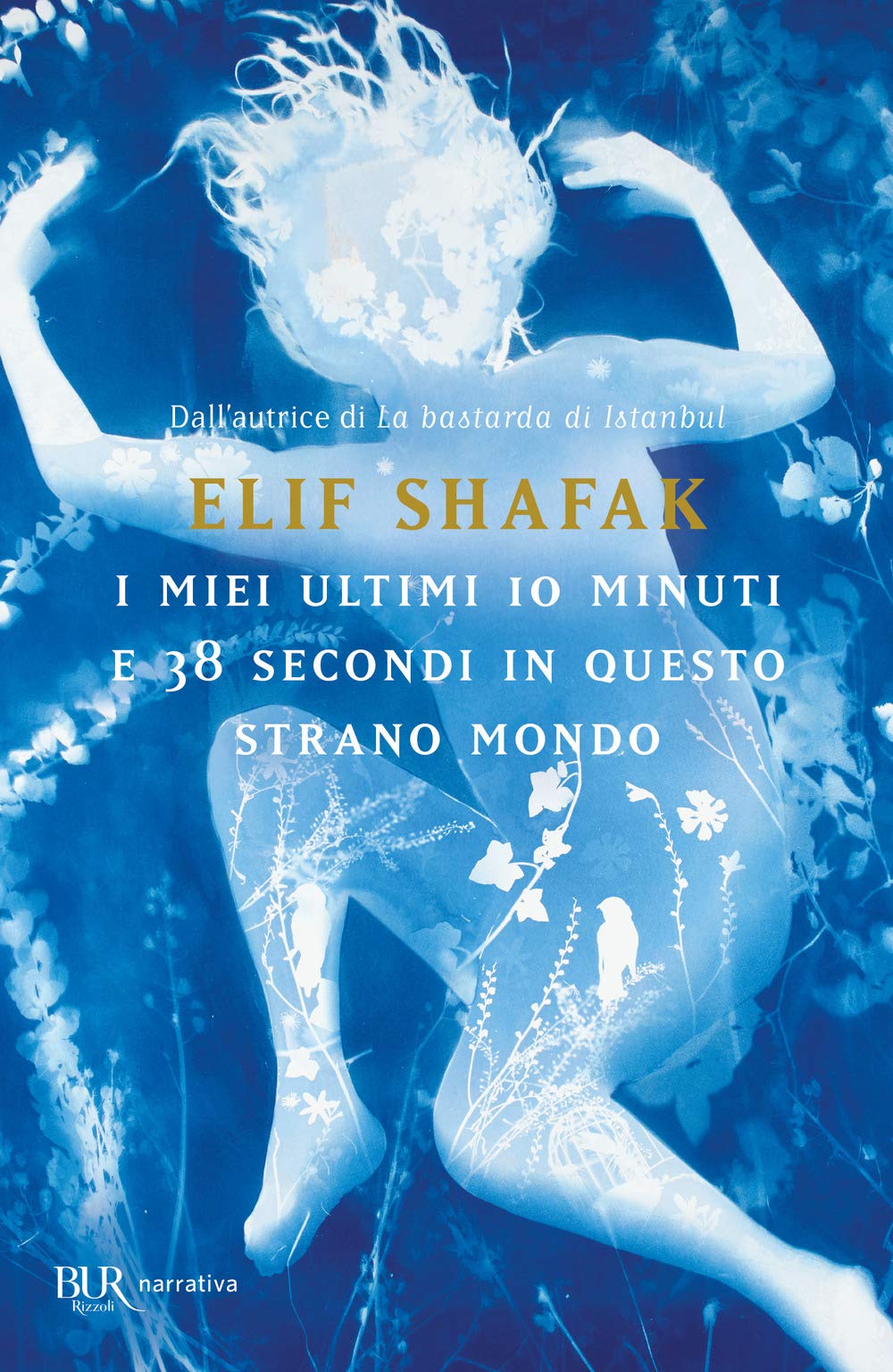 I miei ultimi 10 minuti e 38 secondi in questo strano mondo book