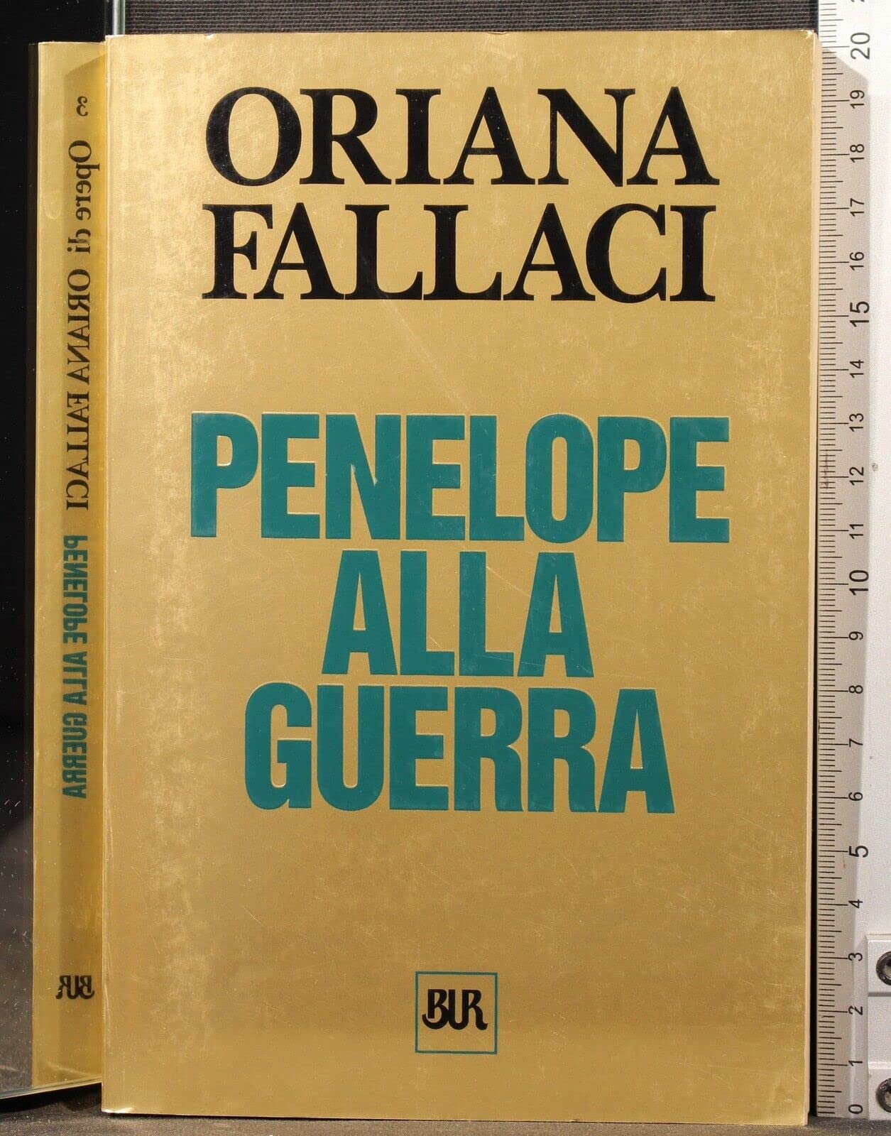 Penelope alla guerra: Introduzione di Michele Prisco (Opere Di Oriana Fallaci, Band 3) Social Sciences