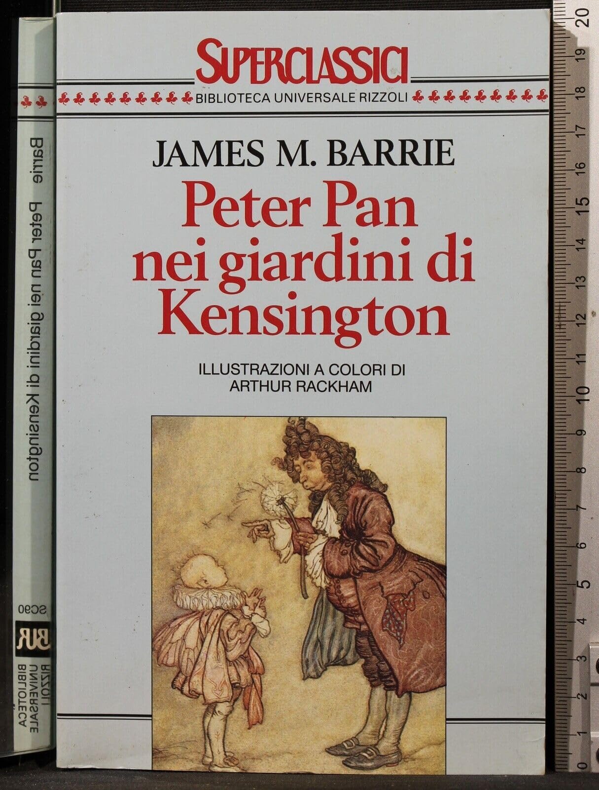 Peter Pan nei giardini di Kensington book