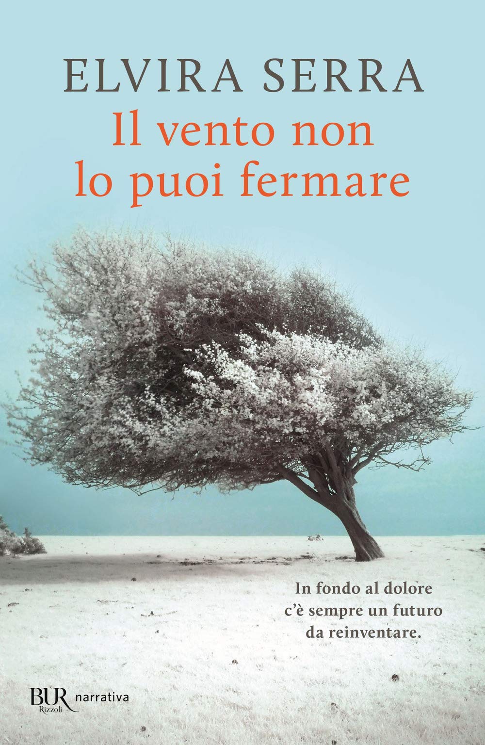 Il vento non lo puoi fermare book