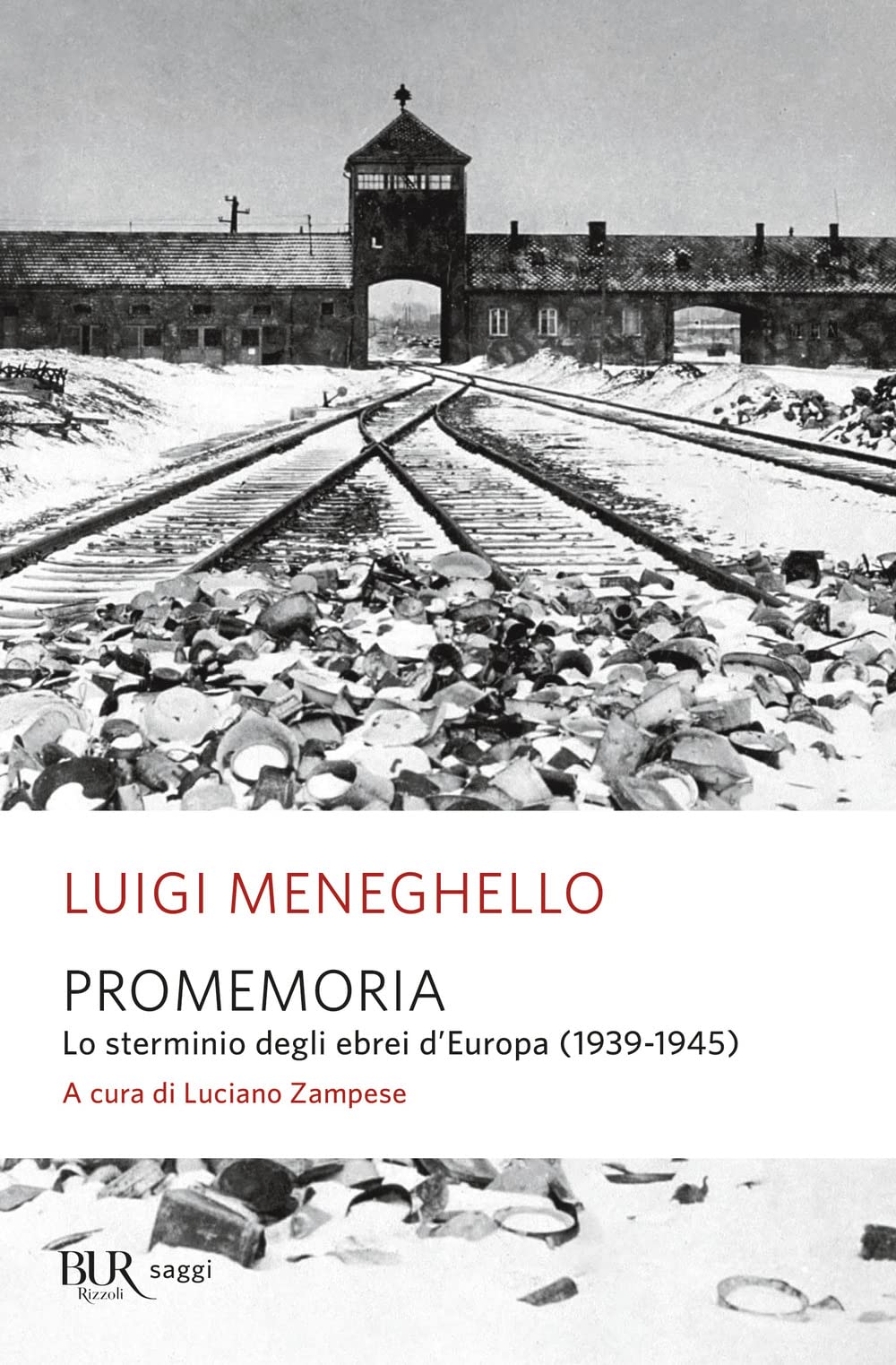 Promemoria. Lo sterminio degli ebrei d'Europa (1939-1945) book