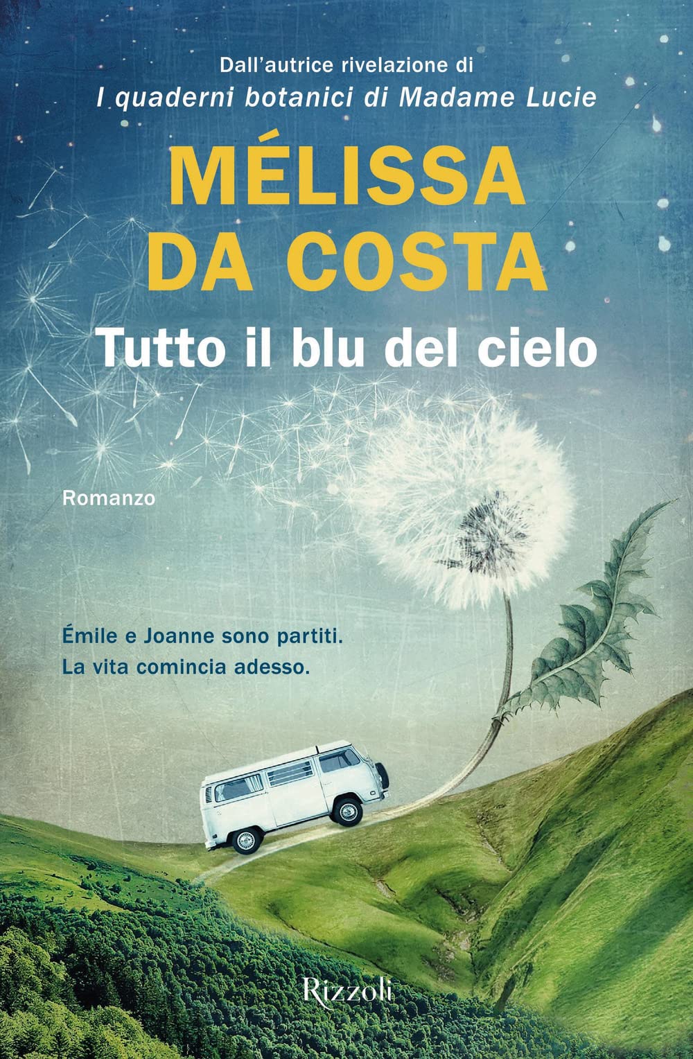 Tutto il blu del cielo book