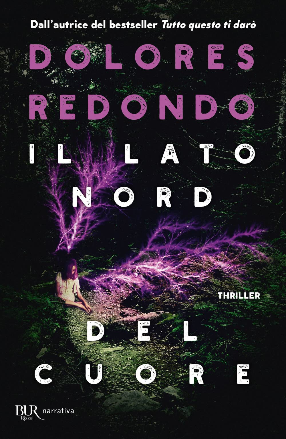 Il lato nord del cuore book