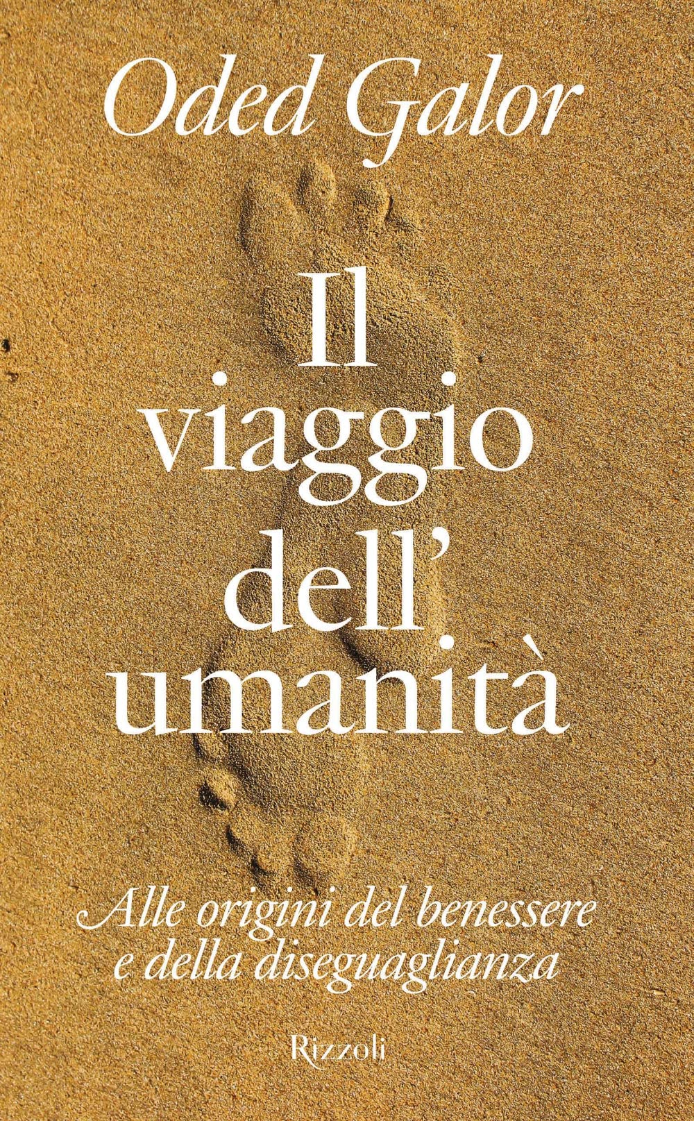 Il viaggio dell'umanità. Alle origini del benessere e della diseguaglianza book