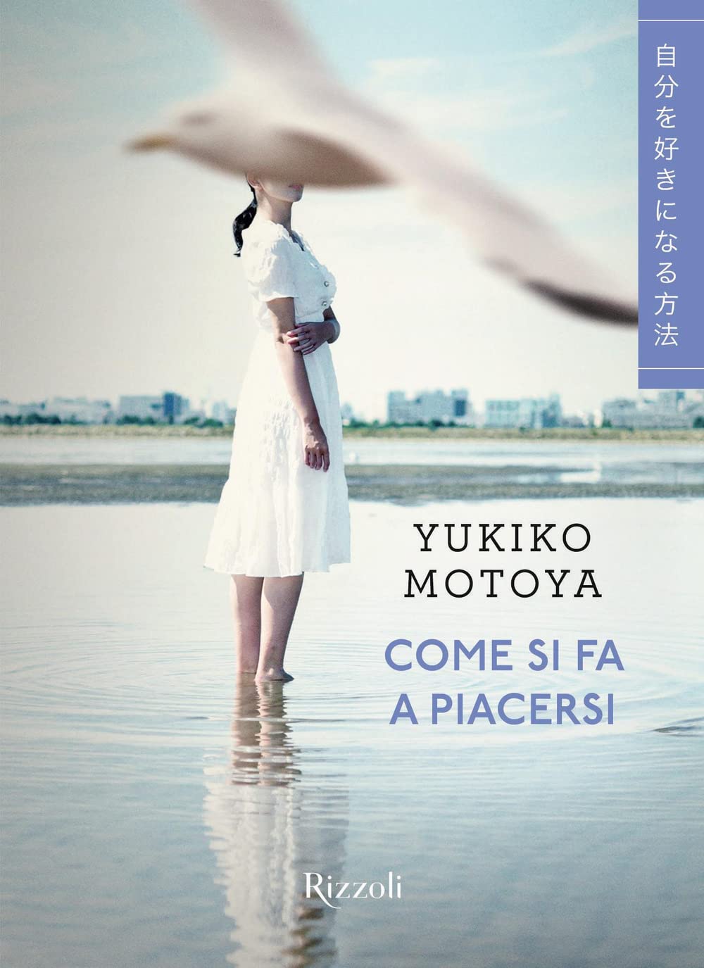 Come si fa a piacersi Contemporary literature