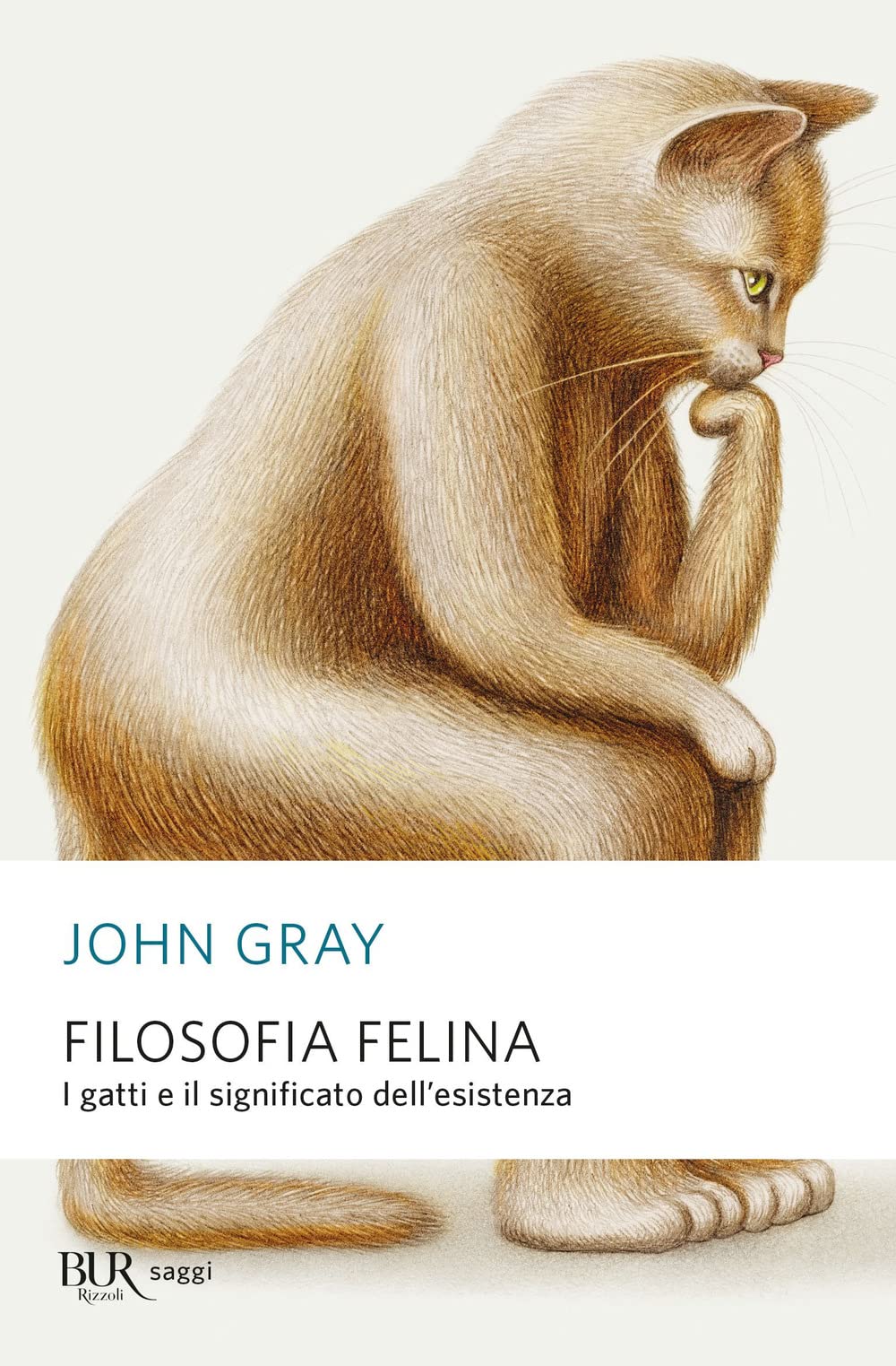 Filosofia felina. I gatti e il significato dell'esistenza Philosophy