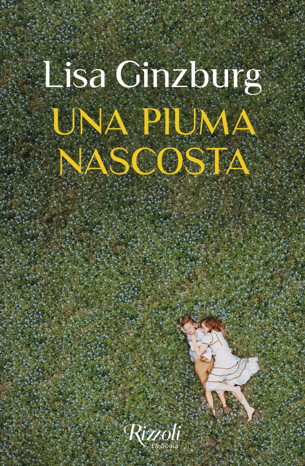 Una piuma nascosta book