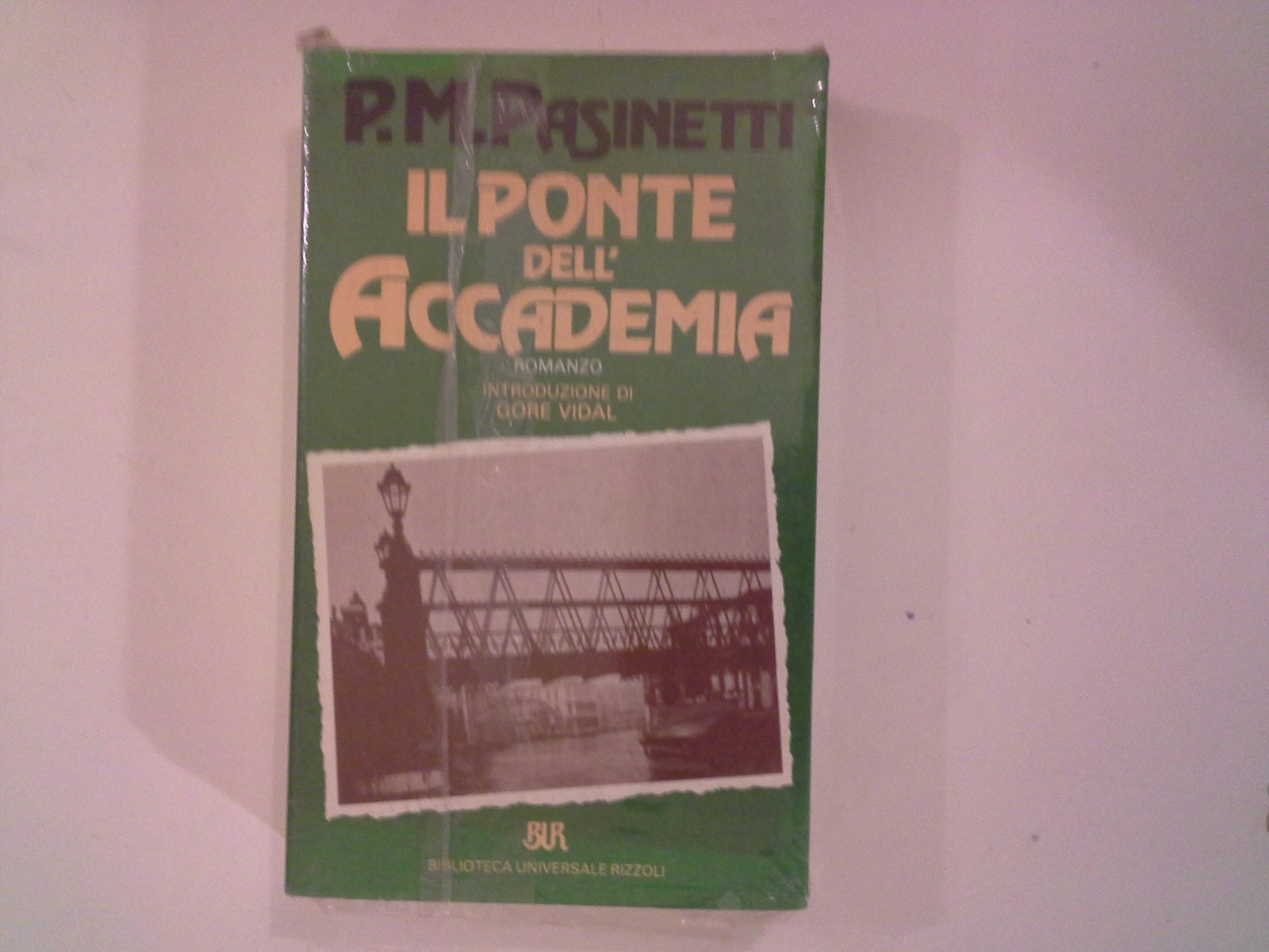 Il ponte dell'Accademia book