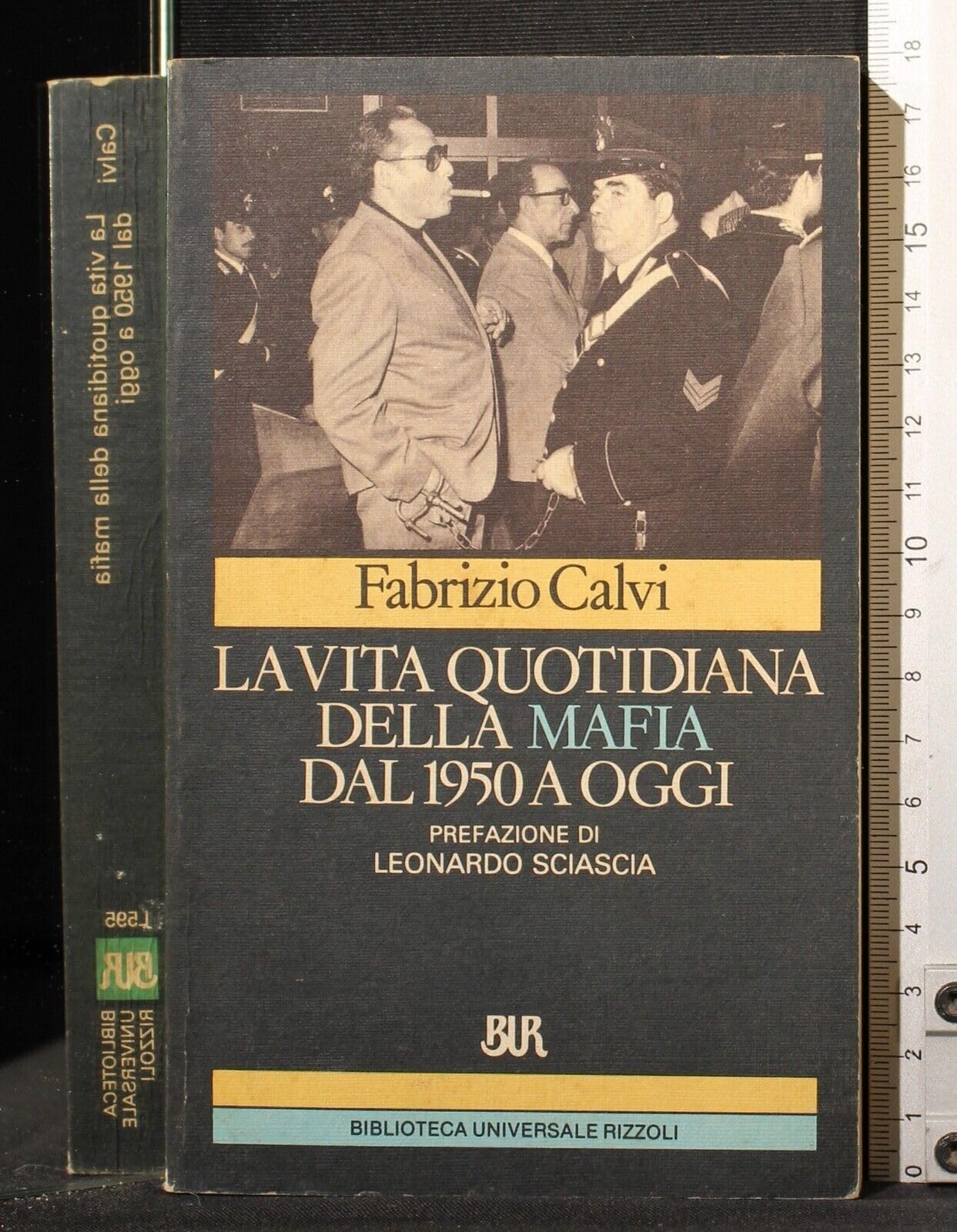 La vita quotidiana della mafia dal 1950 ad oggi book