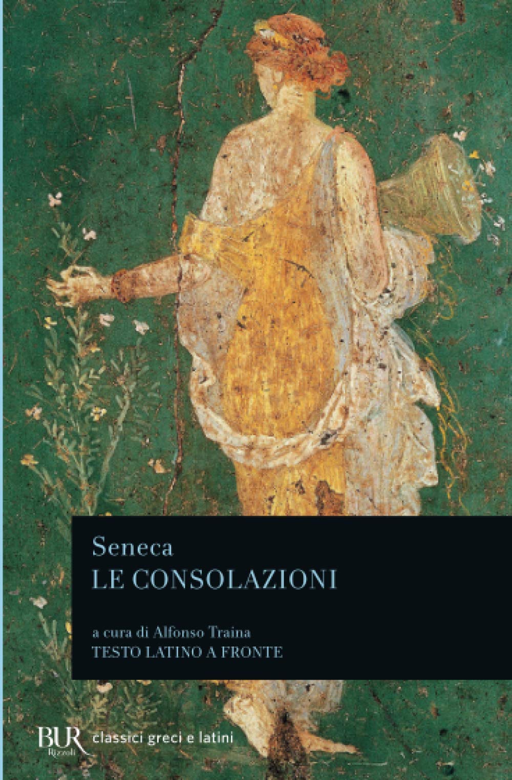 Le consolazioni. Testo latino a fronte book