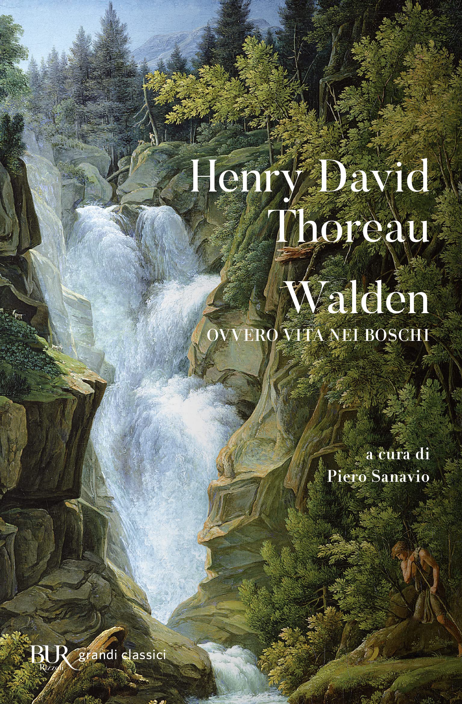 Walden Ovvero Vita Nei Boschi book