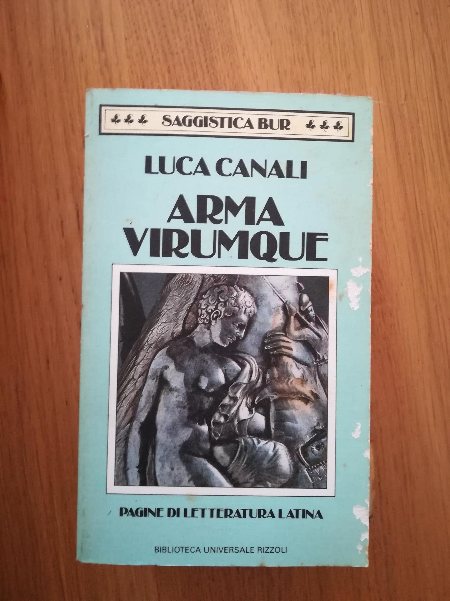 Arma Virumque (Fiction, Poetry & Drama) book