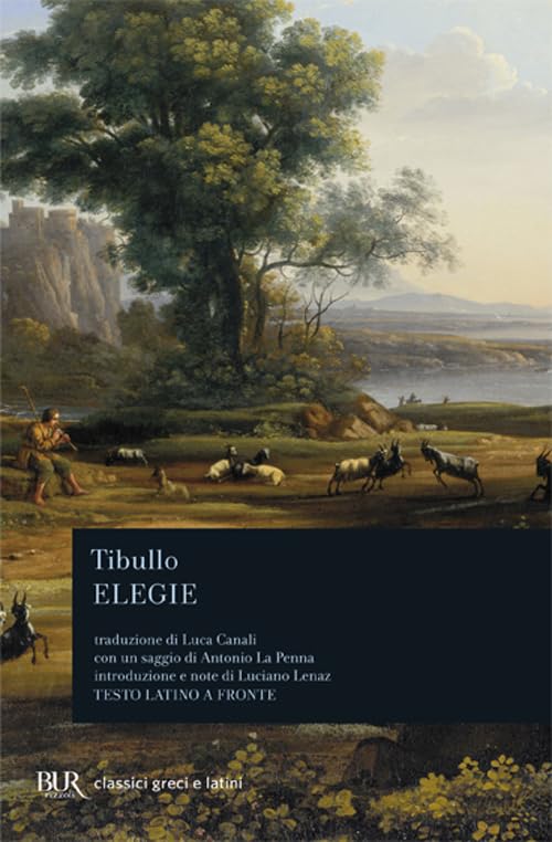 Elegie. Testo latino a fronte (BUR Classici greci e latini, Band 702) Poetry