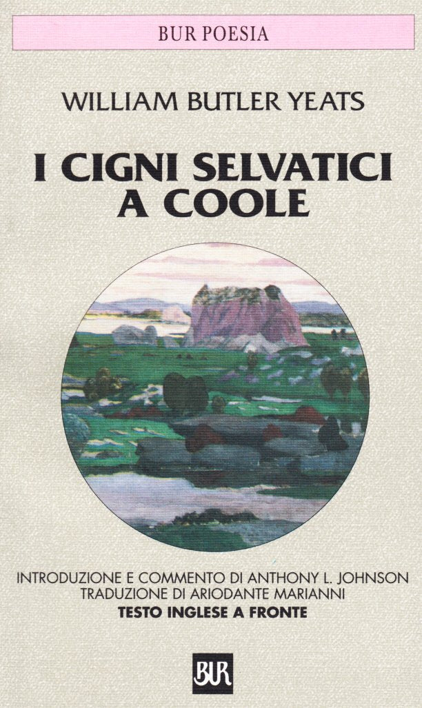 I cigni selvatici di Coole book