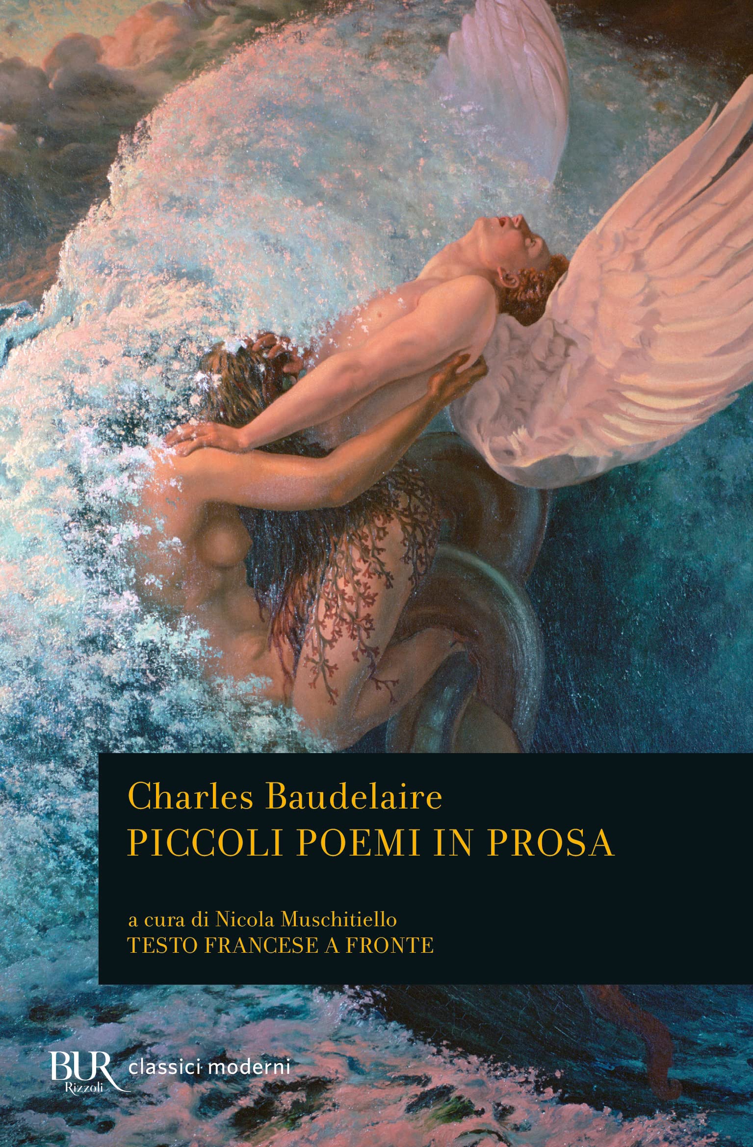 Piccoli poemi in prosa book