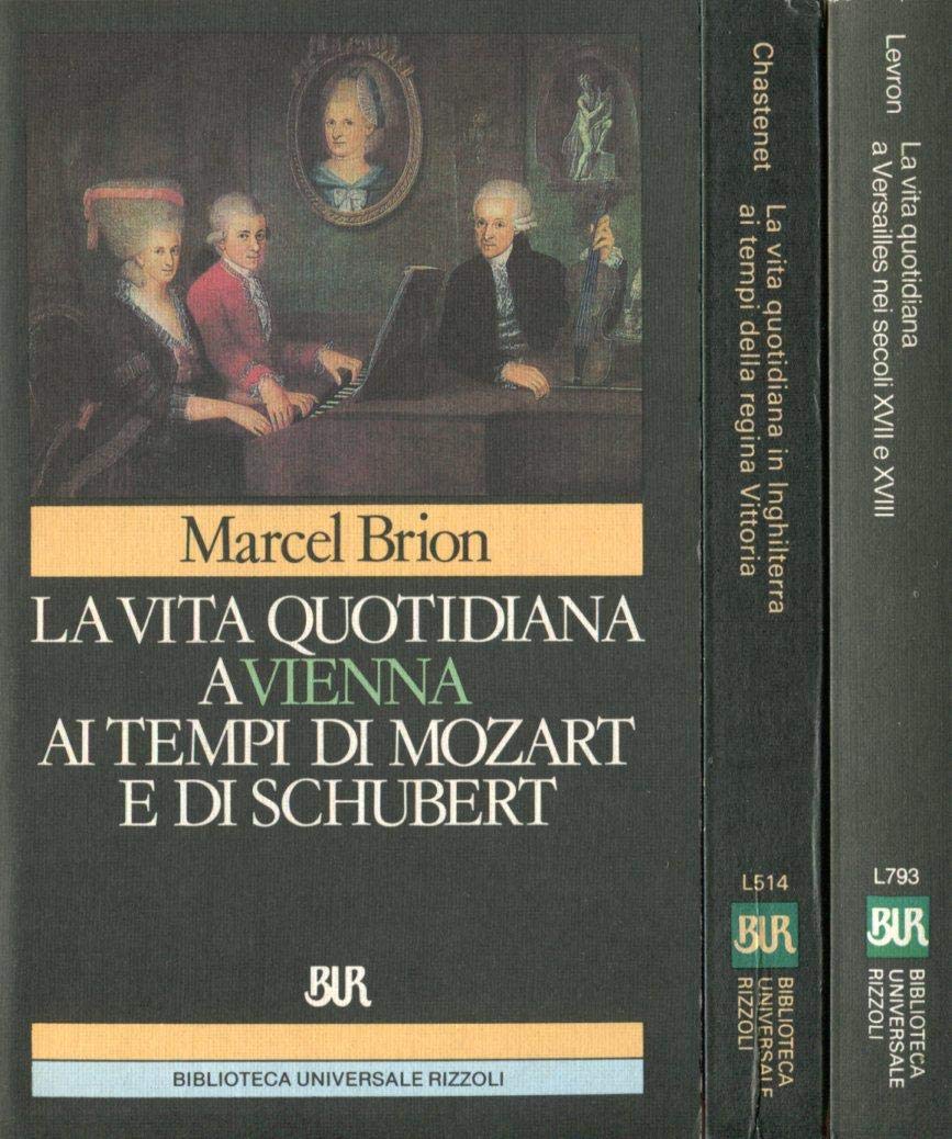 Vita quotidiana a Vienna ai tempi di Mozart e di Schubert (BUR Storia e biografie, Band 814) Politics & History