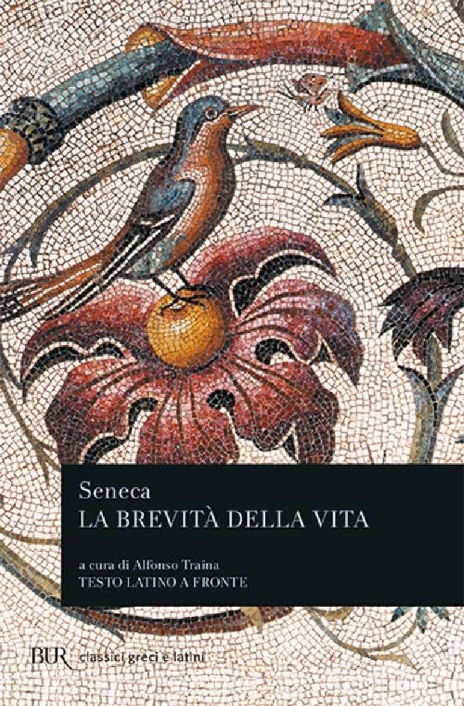 La brevita della vita book