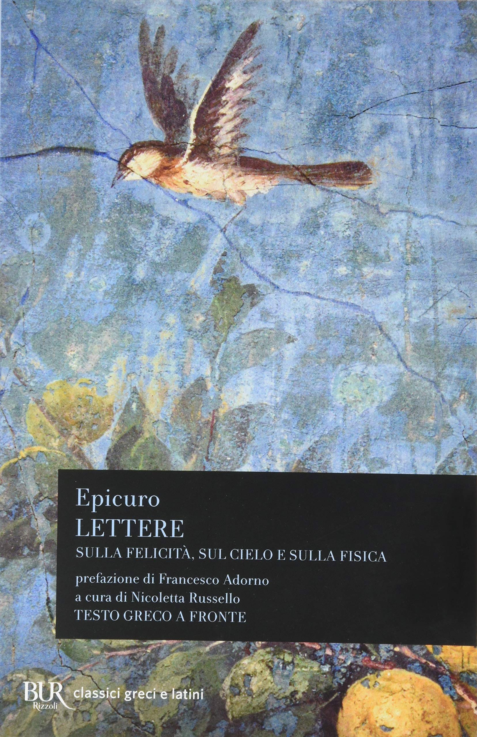 Lettere sulla fisica, sul cielo e sulla felicità. Testo greco a fronte (BUR Classici greci e latini, Band 945) Philosophy