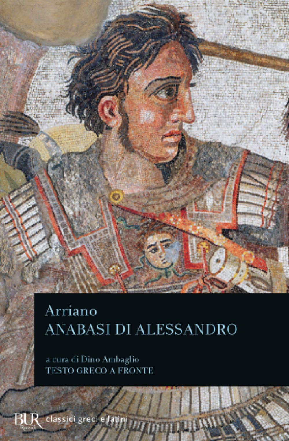 Anabasi di Alessandro (BUR Classici greci e latini, Band 998) Social Sciences